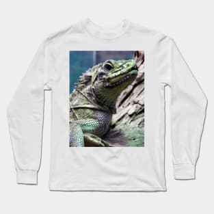 Sailfin Lizard Long Sleeve T-Shirt